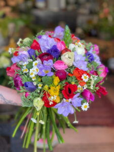 שלל פרחי חורף