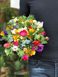 שלל פרחי חורף