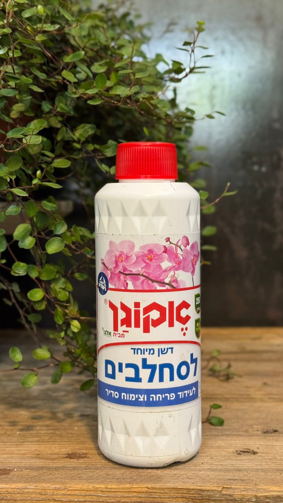 דשן סחלבים